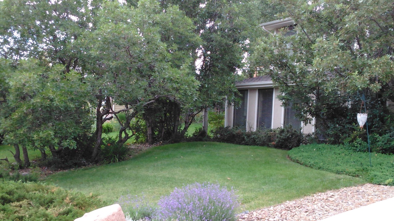 Photo of Outdoor in Gleneagle