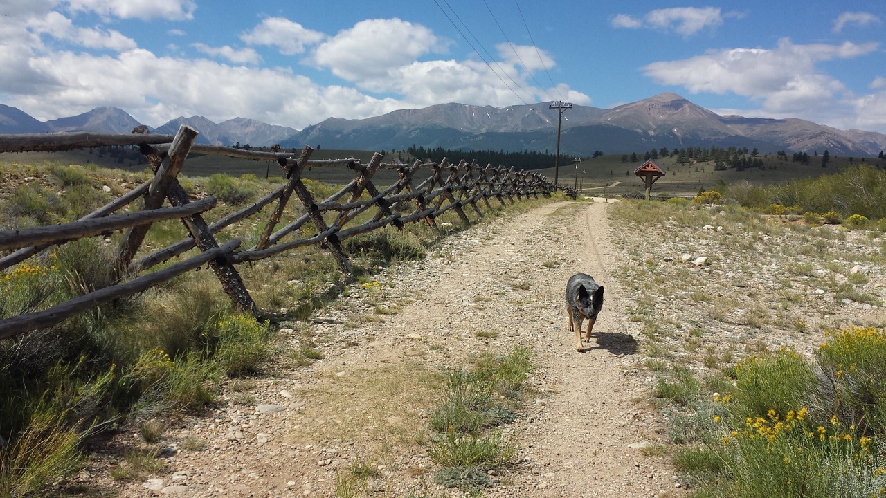 Photo of Others in Leadville North