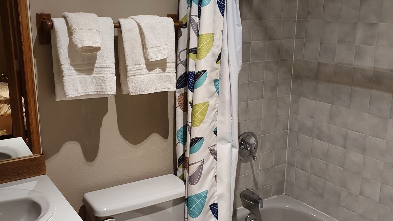 Photo of Bathroom in Telluride