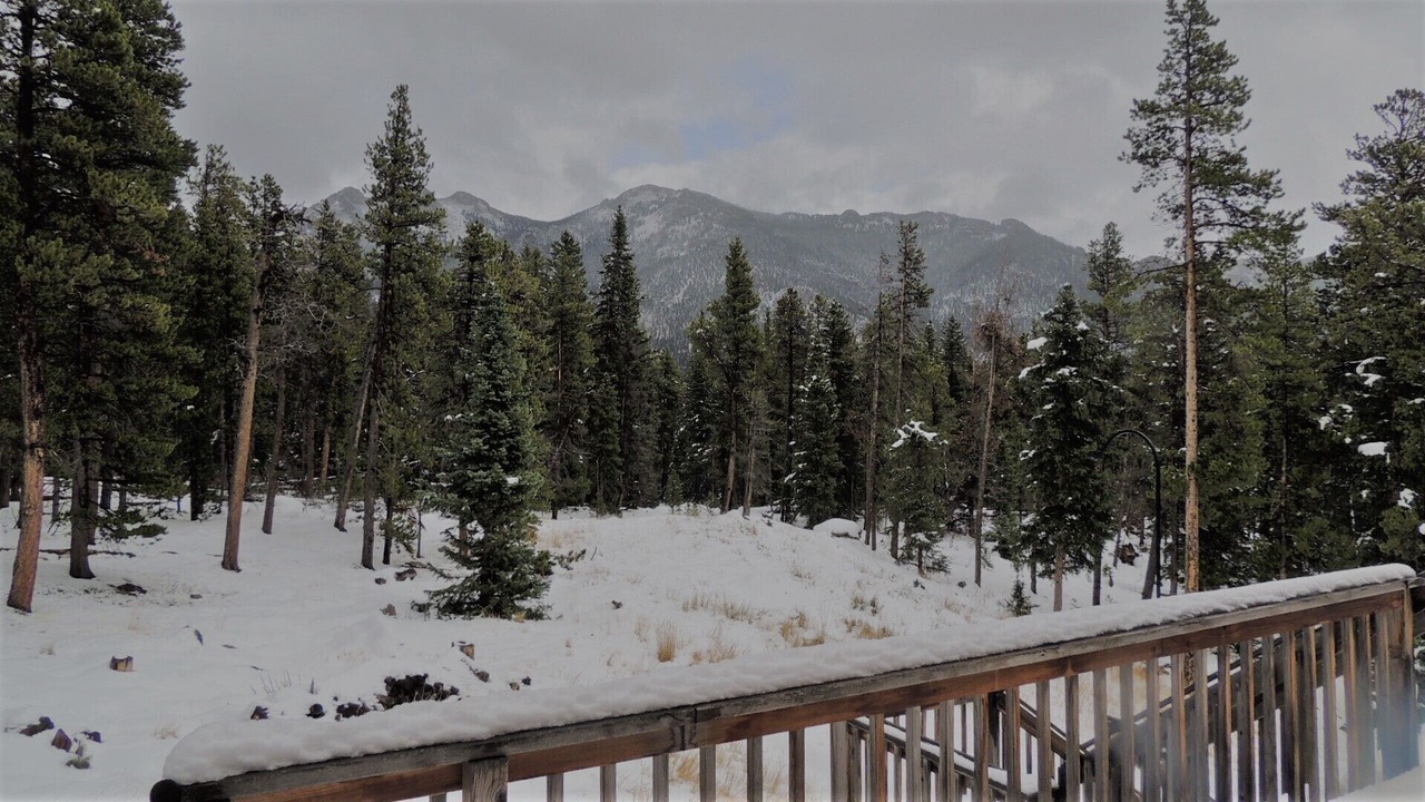 Photo of Others in Estes Park