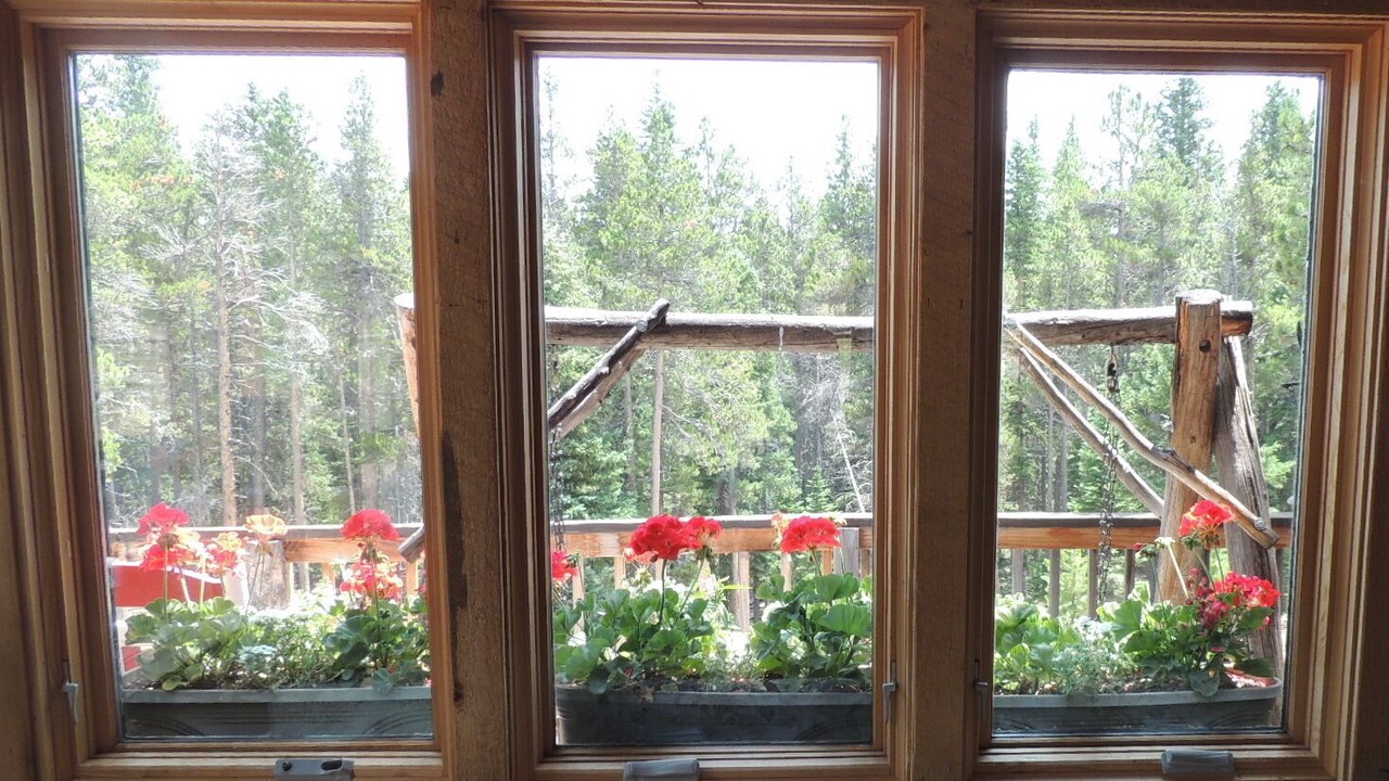 Photo of Others in Estes Park