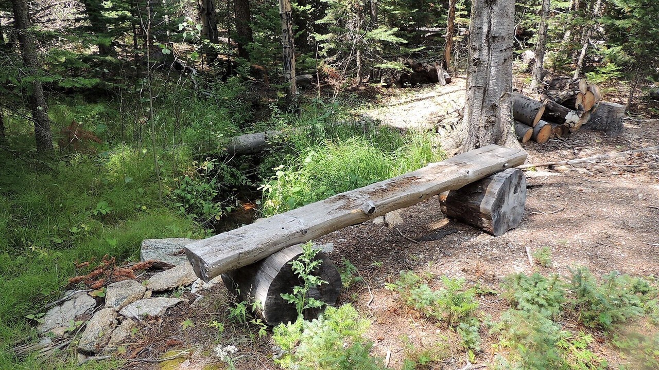 Photo of Others in Estes Park