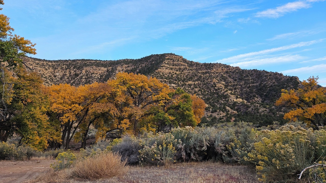 Photo of Outdoor in Thompson