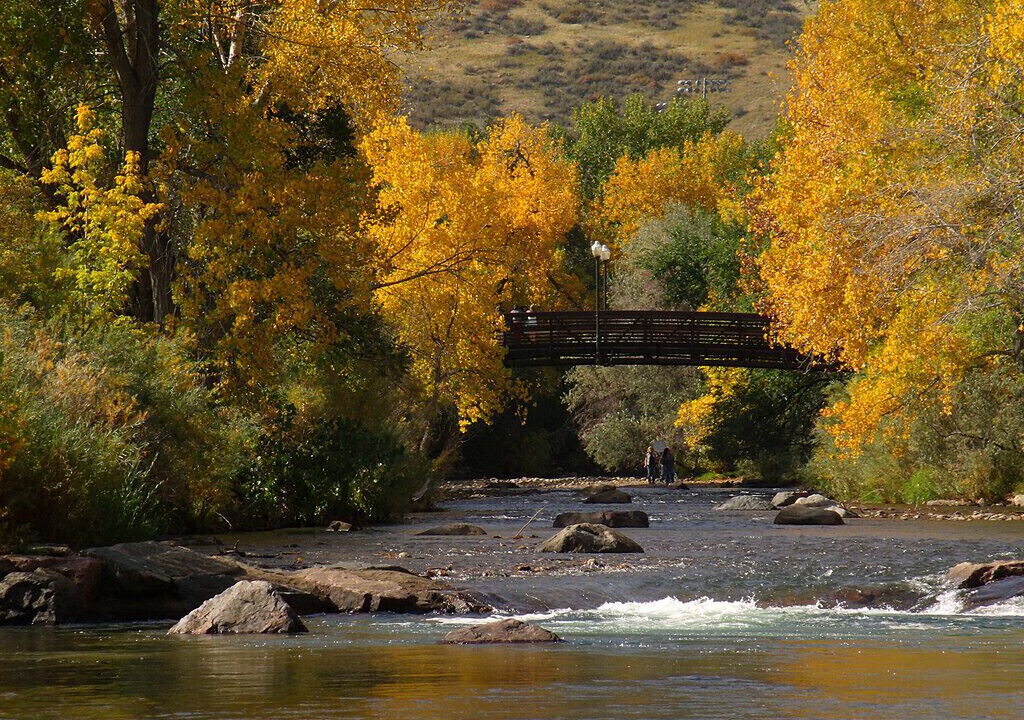Photo of Others in Golden