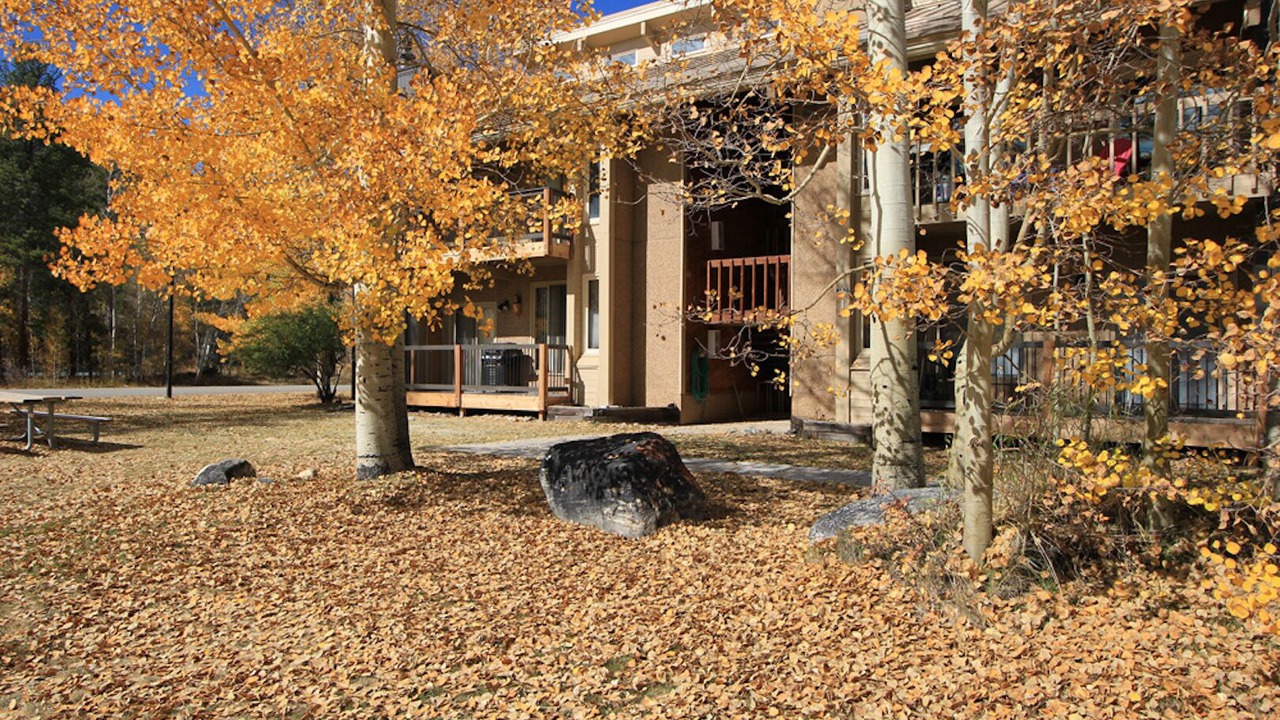 Photo of Outdoor in Frisco