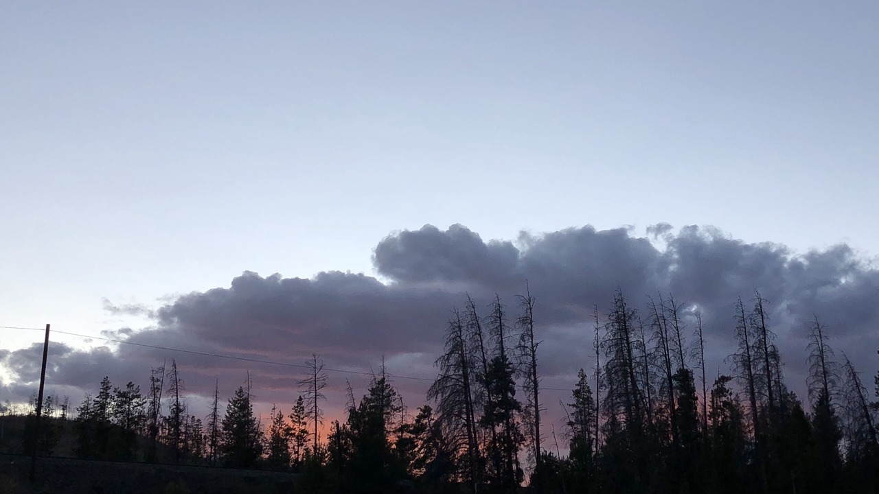 Photo of Outdoor in Fraser