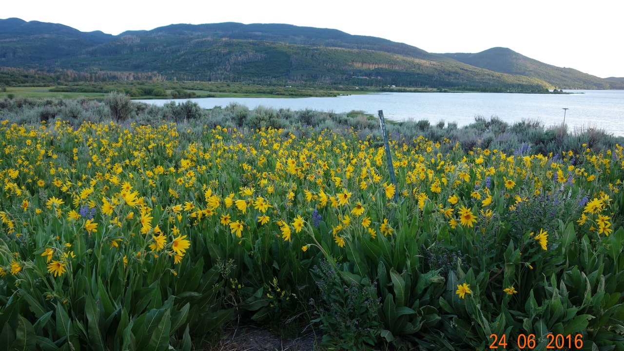 Photo of Outdoor in Collbran