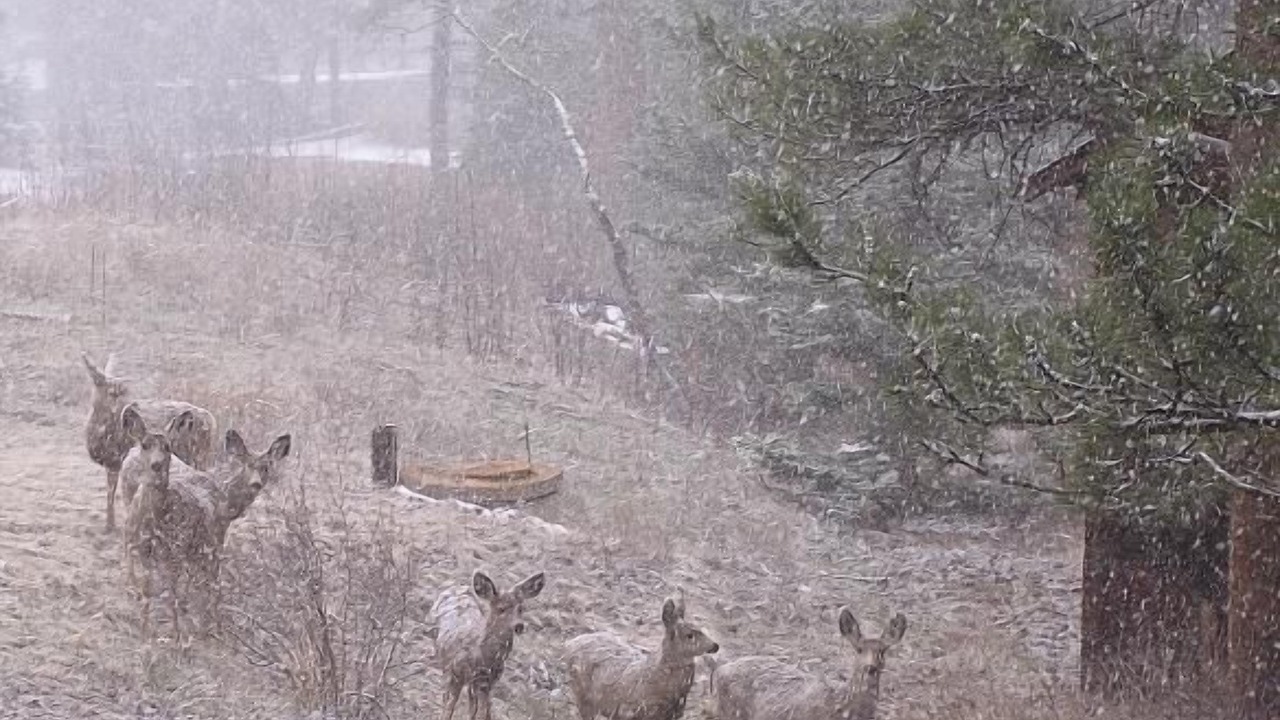 Photo of Others in Estes Park