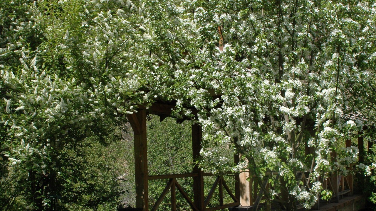 Photo of Outdoor in Ketchum