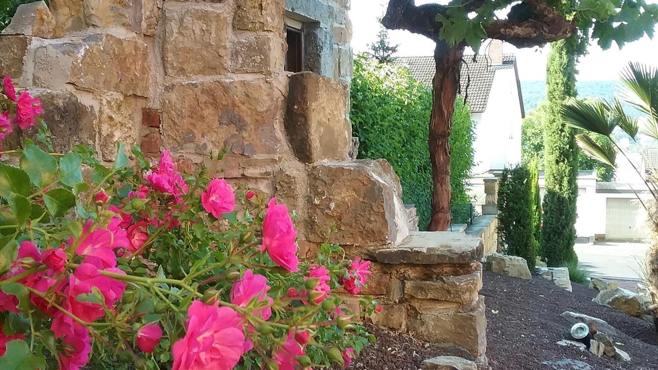 Photo of Outdoor in Durrbachau