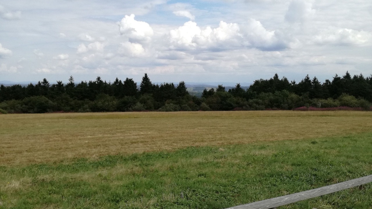 Photo of Outdoor in Tann