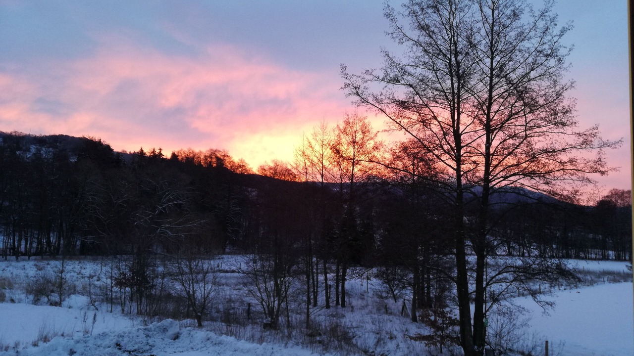 Photo of Outdoor in Tann