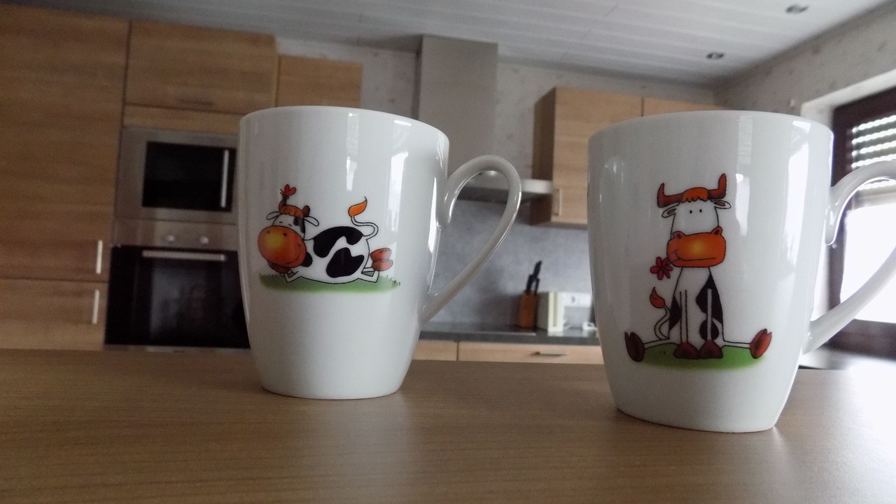 Photo of Kitchen in Tann