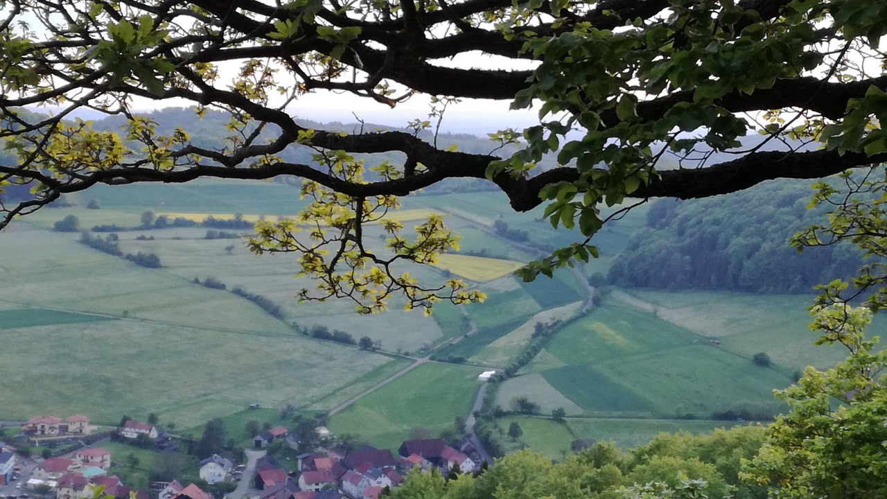 Photo of Outdoor in Tann