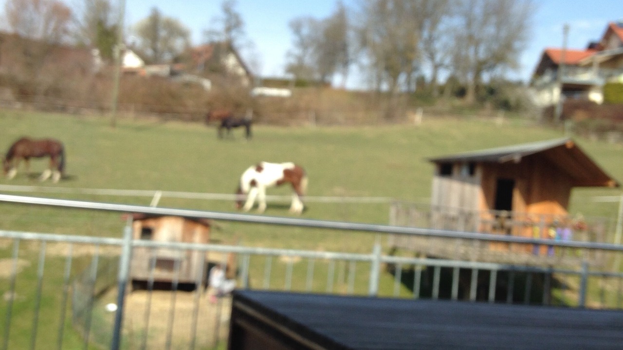 Photo of Outdoor in Horgenzell