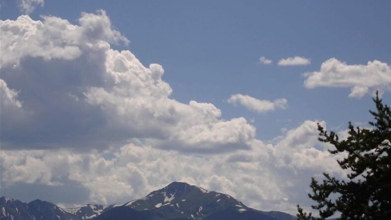 Photo of Others in Fraser