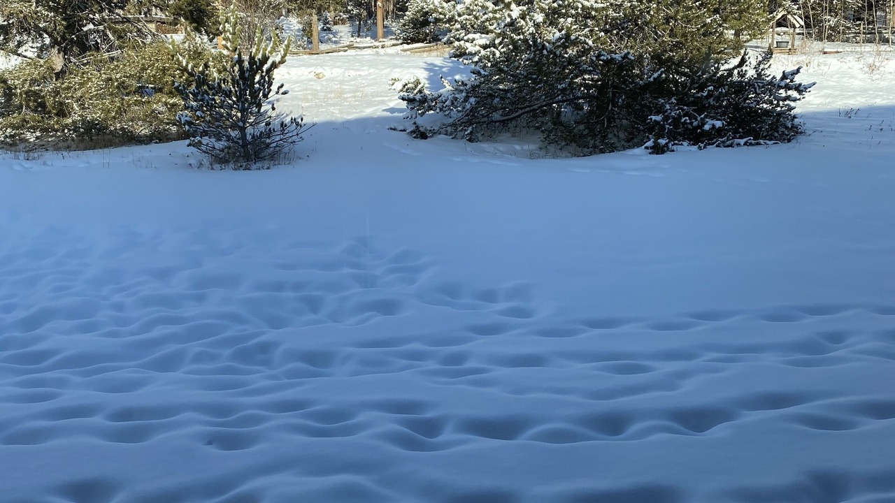 Photo of Others in Fraser
