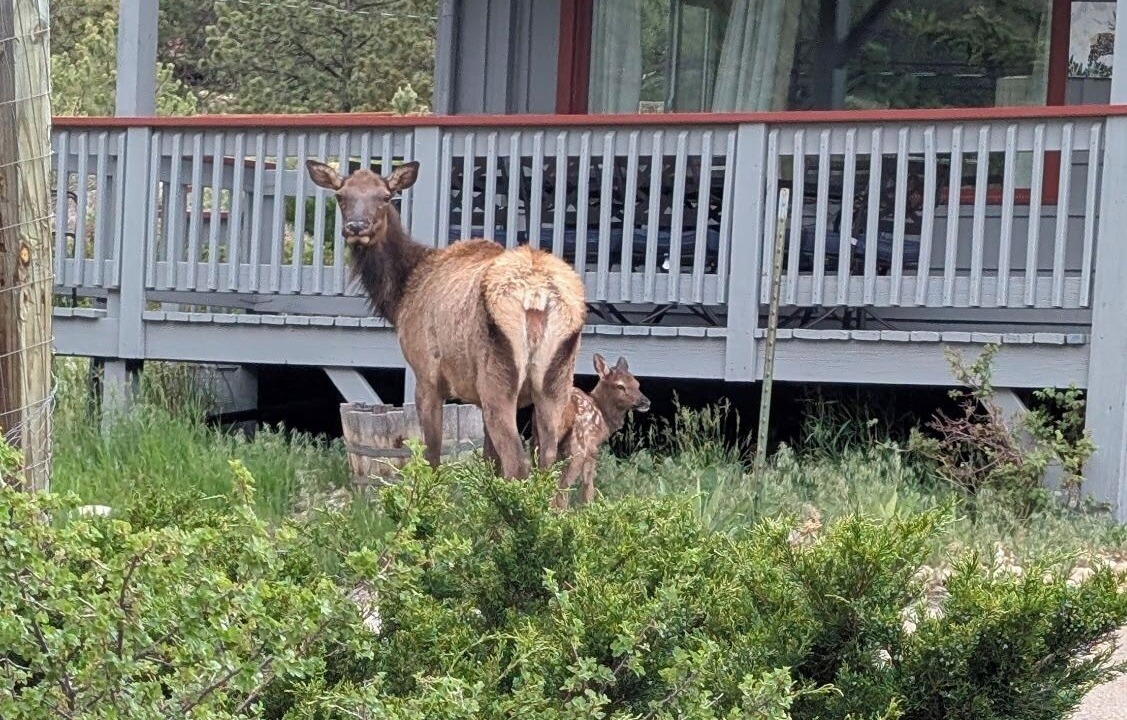 Photo of Others in Estes Park