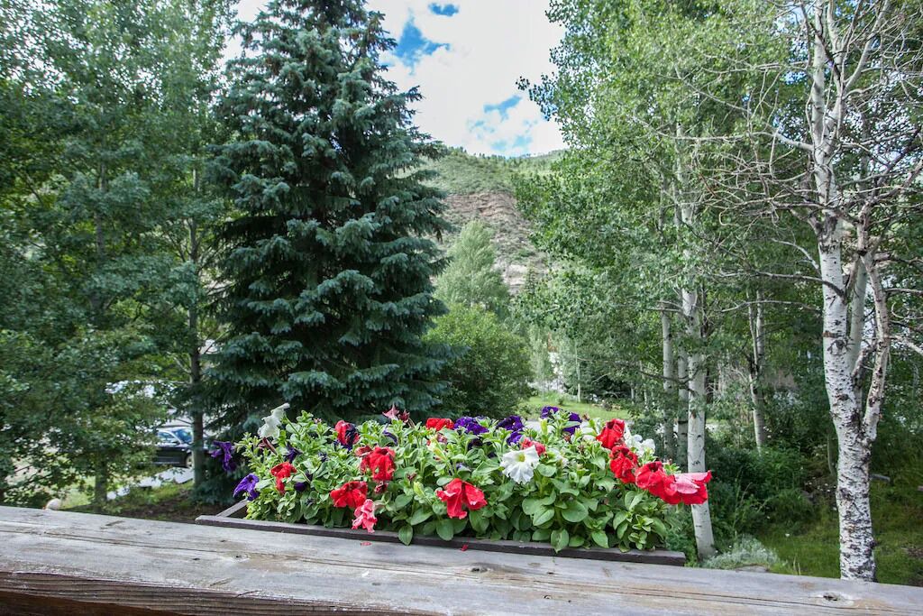 Photo of Others in Intermountain