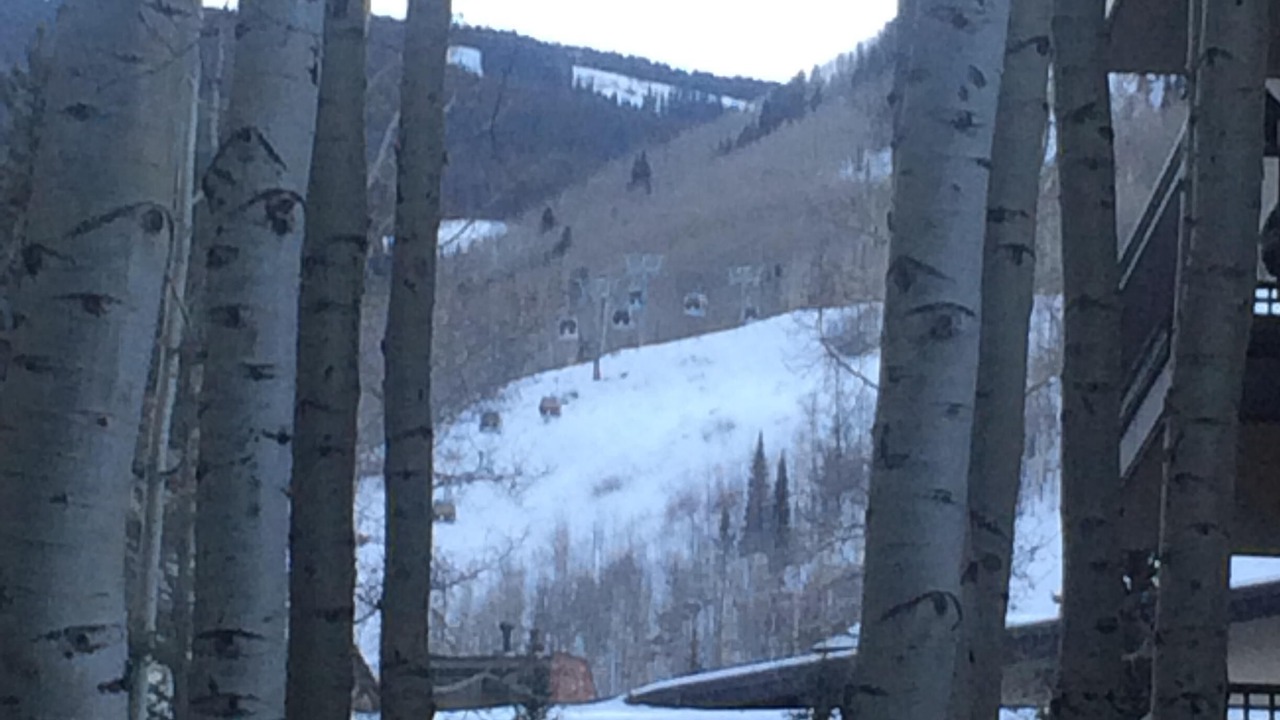 Photo of Bedroom in Vail
