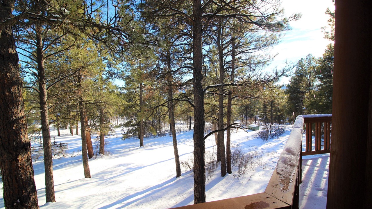 Photo of Others in Pagosa Springs