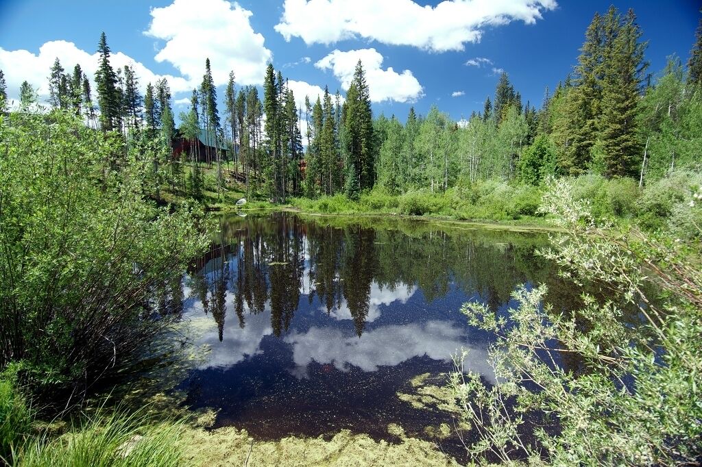 Photo of Outdoor in Winter Park