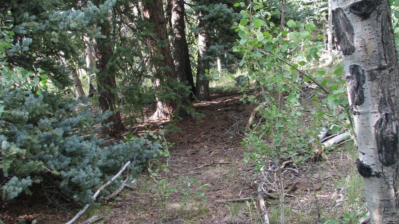 Photo of Others in Indian Mountain