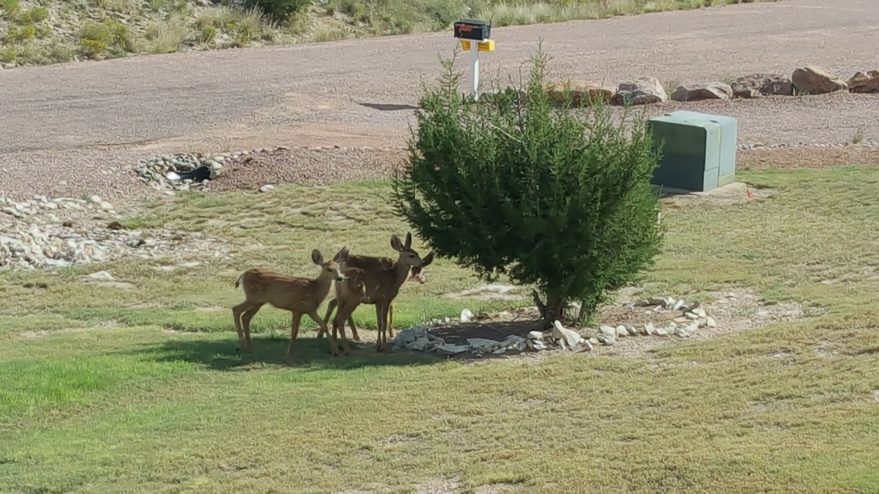Photo of Others in Pueblo West