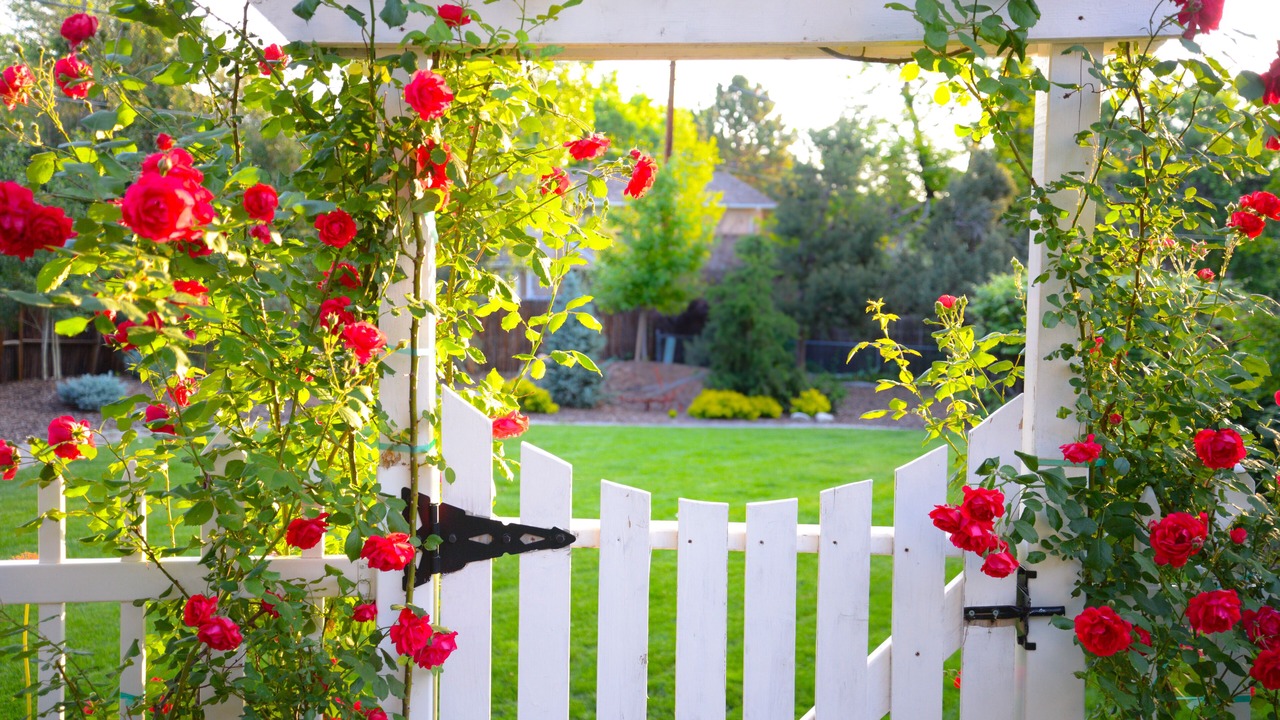 Photo of Outdoor in Columbine Knolls