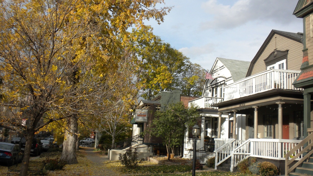 Photo of Outdoor in City Park West
