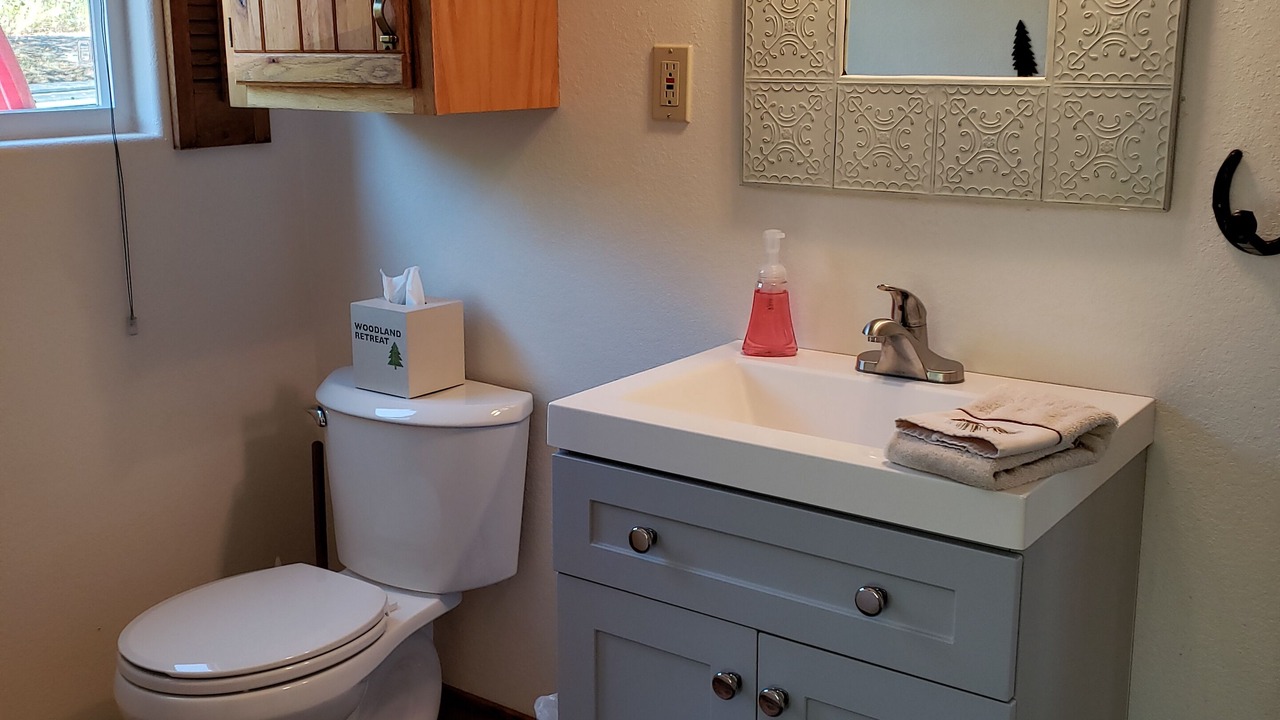 Photo of Bathroom in Collbran