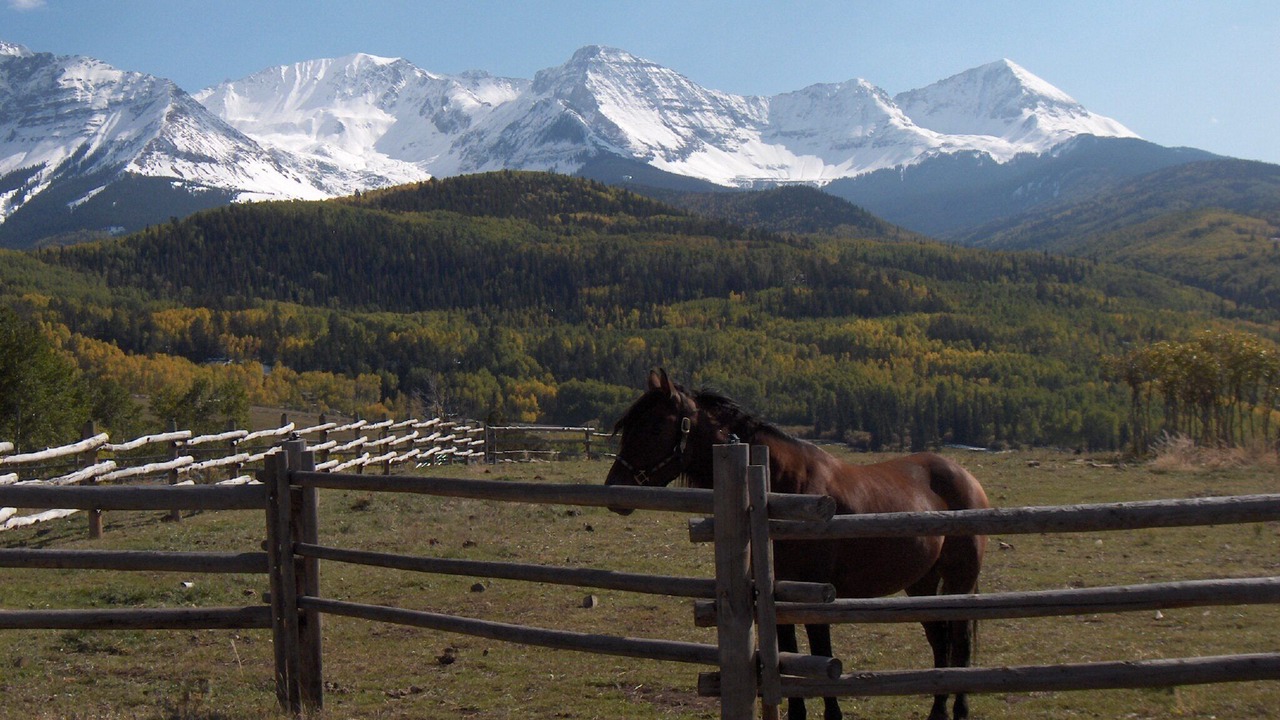 Photo of Others in Ridgway