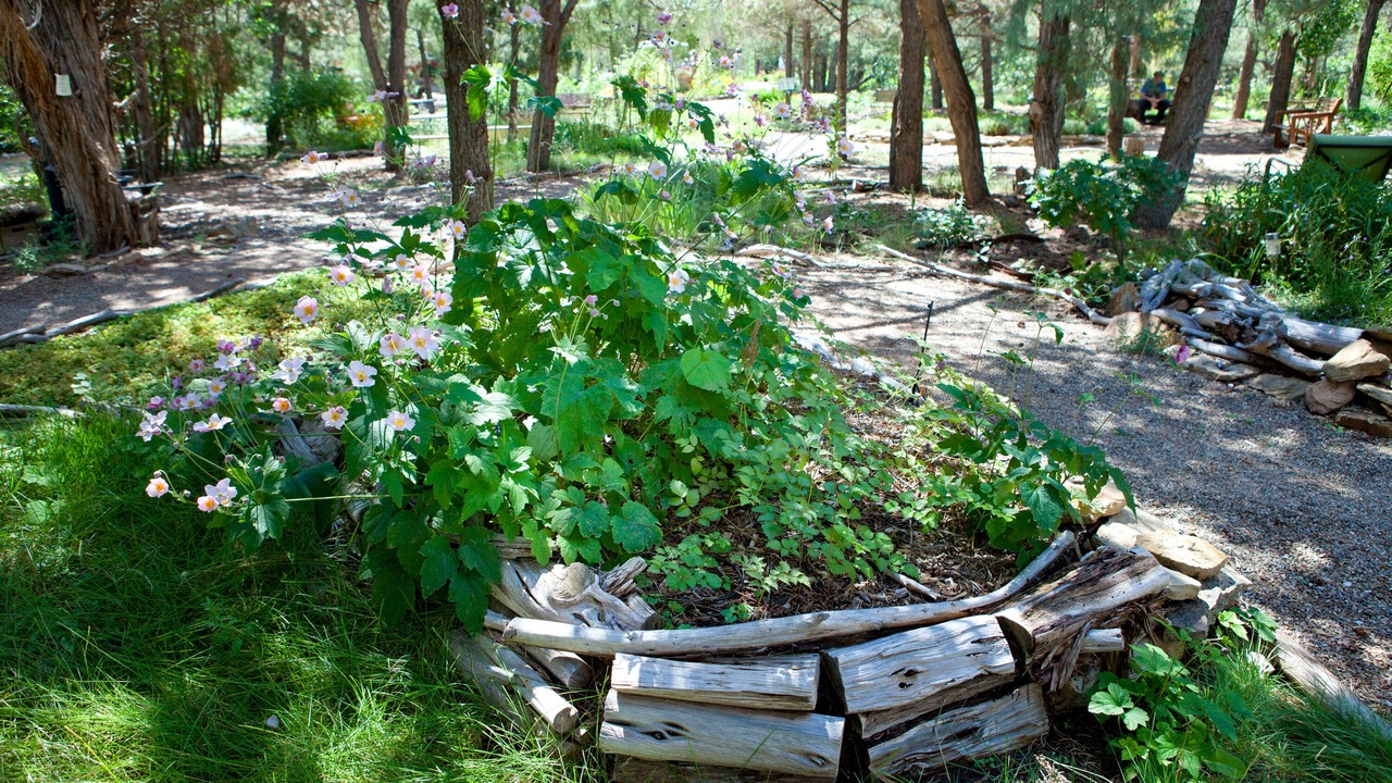 Photo of Others in Mancos