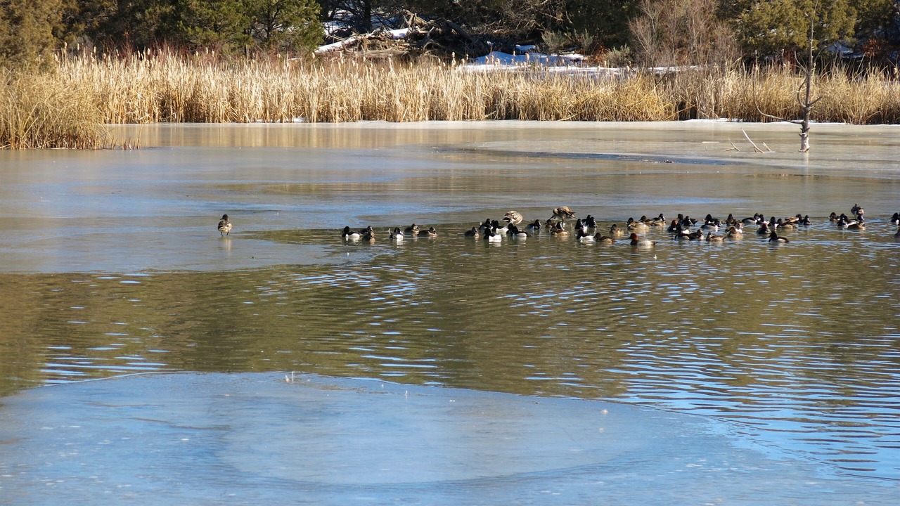 Photo of Outdoor in Mancos
