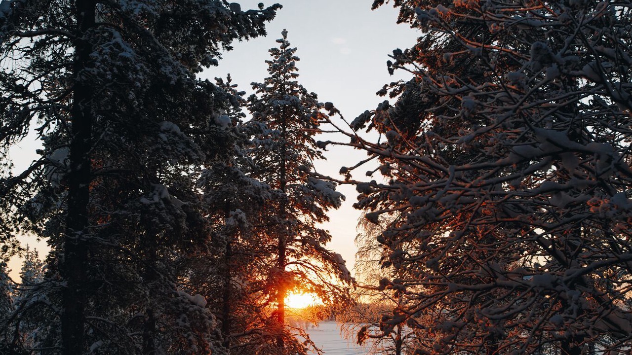 Photo of Outdoor in Patoniemi