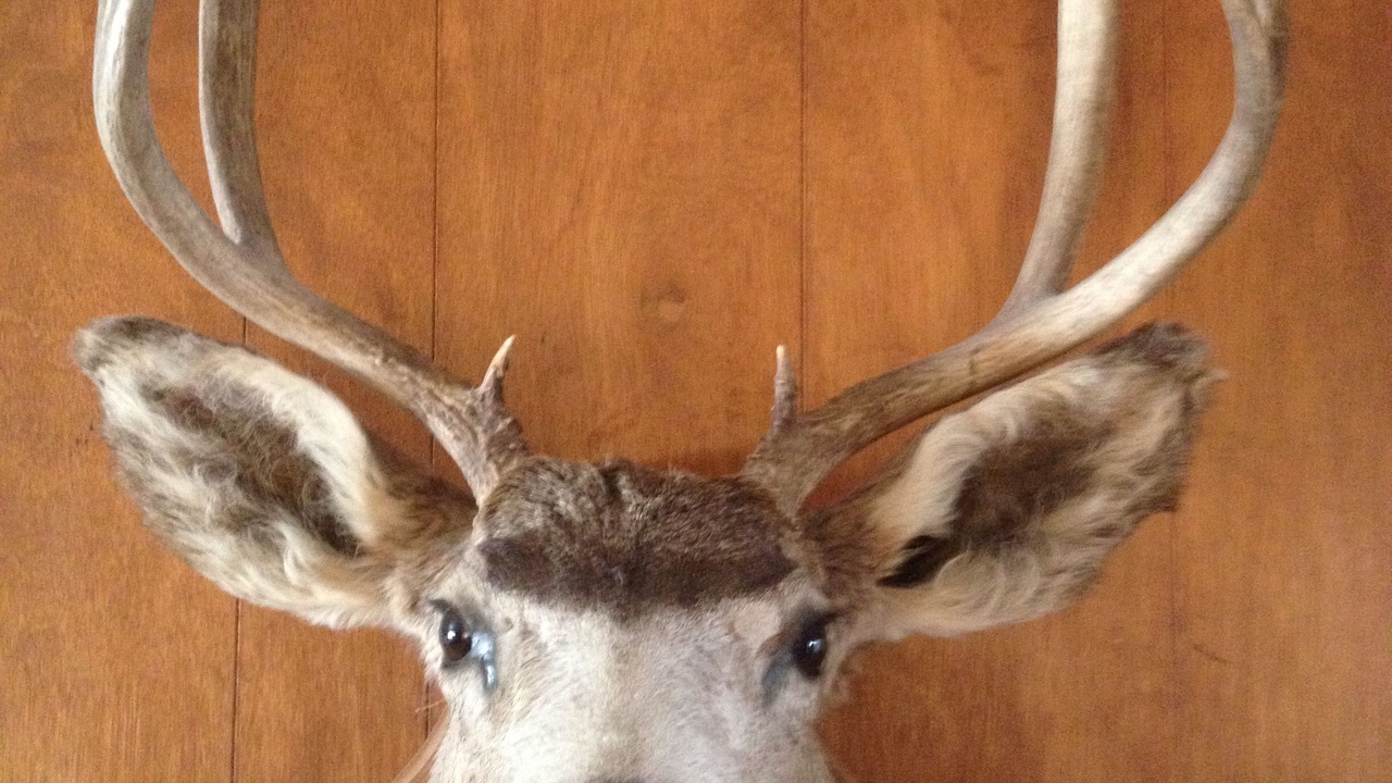 Photo of Others in Summit County