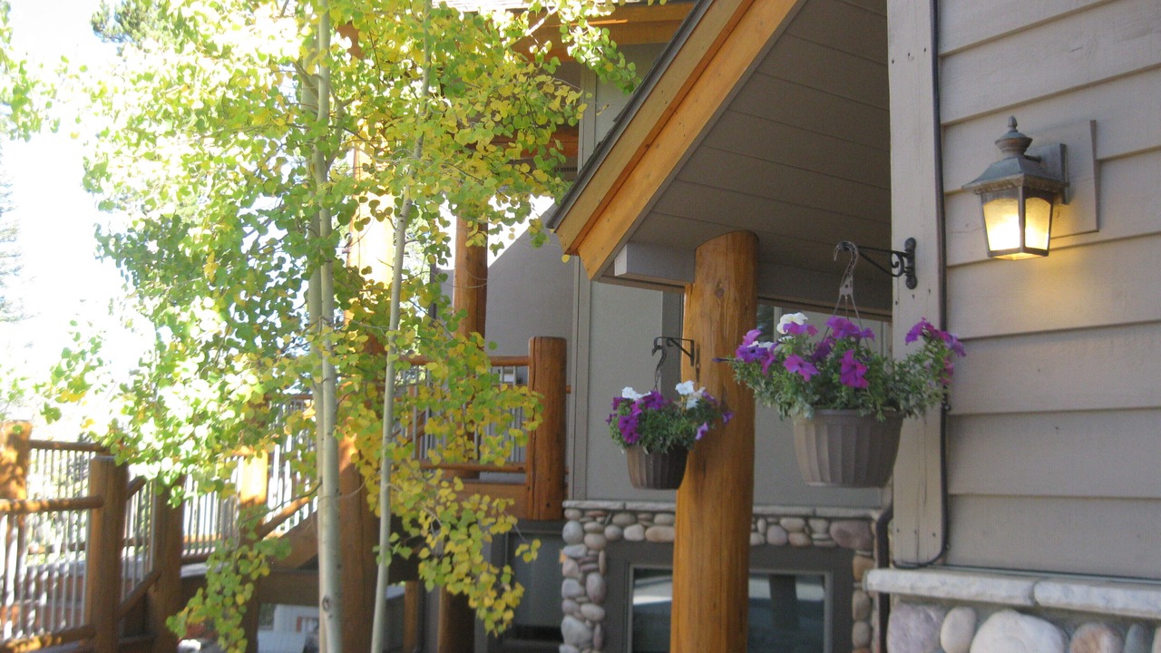 Photo of Outdoor in The Highlands