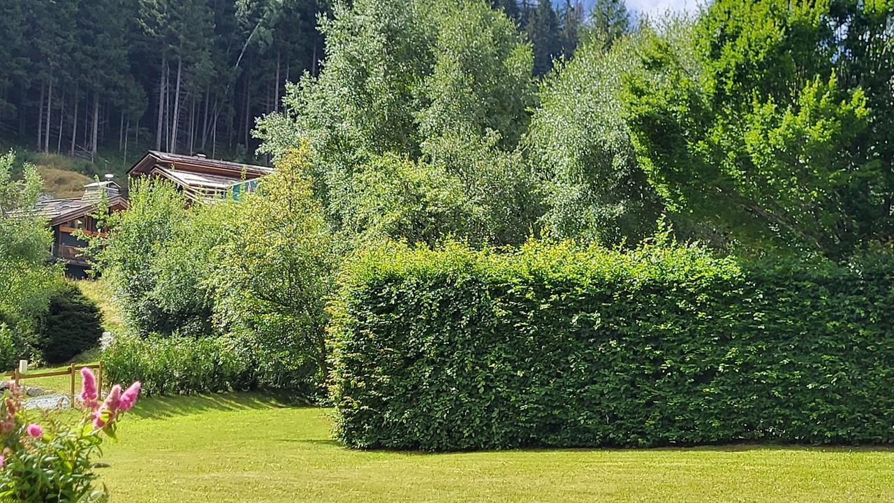 Photo of Outdoor in Le Lavancher