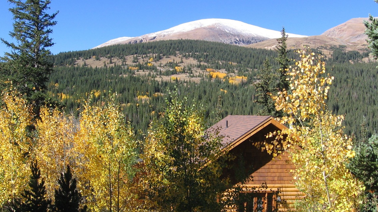Photo of Others in Alma