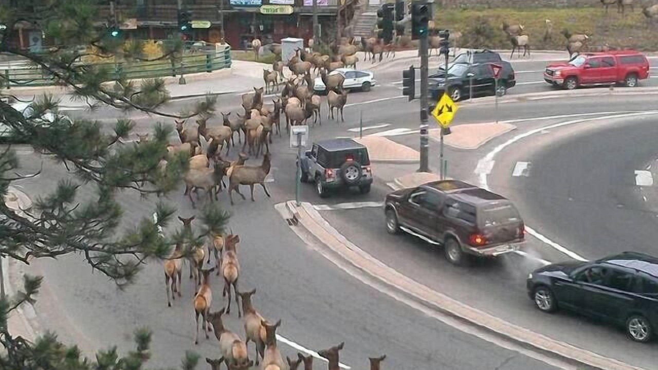 Photo of Others in Evergreen