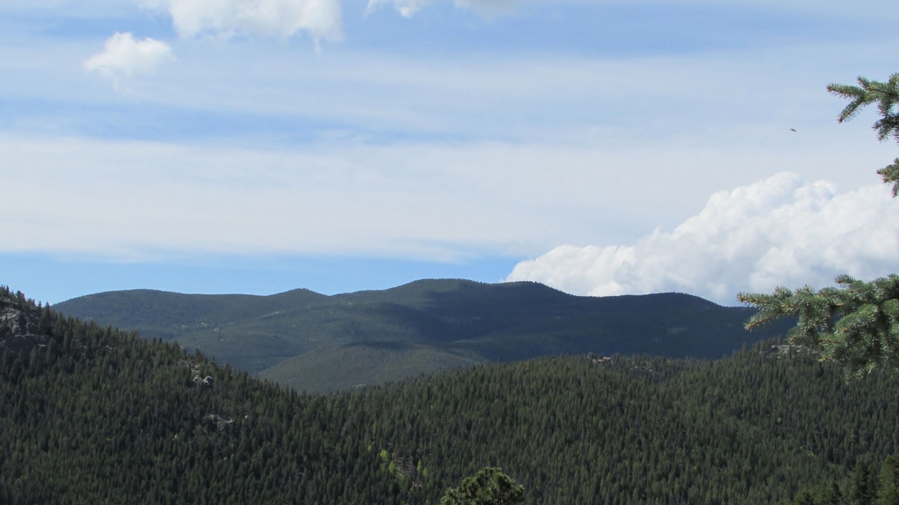 Photo of Others in Evergreen