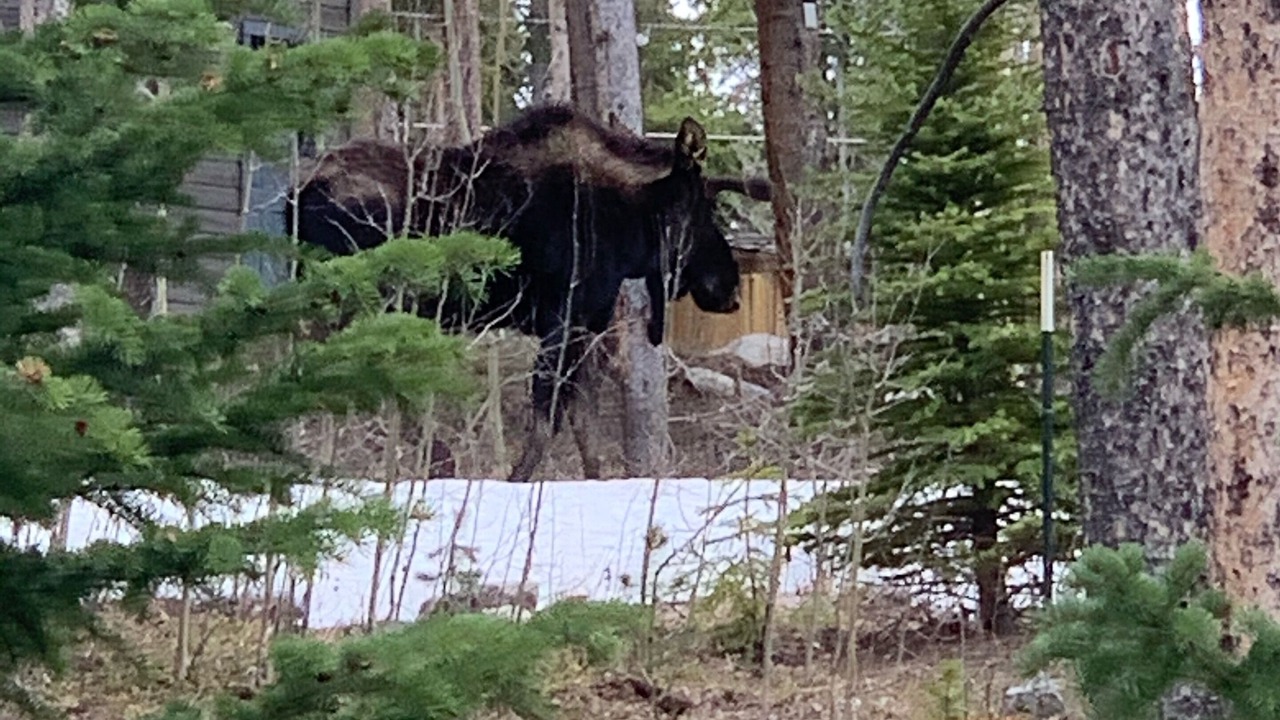 Photo of Others in Breckenridge