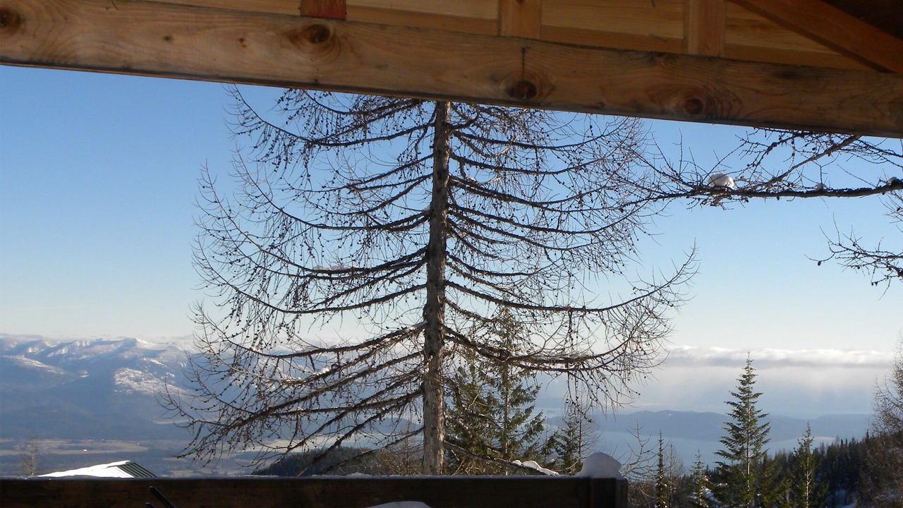 Photo of Others in Sandpoint