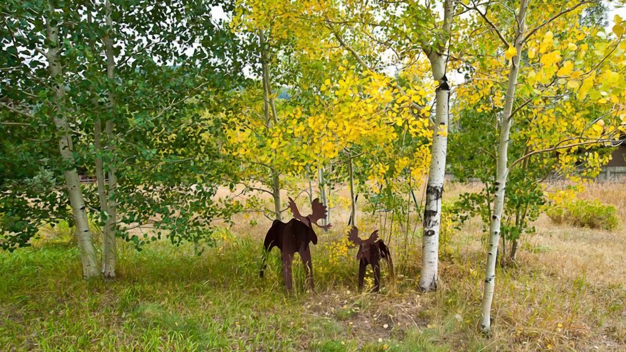 Photo of Outdoor in Dillon