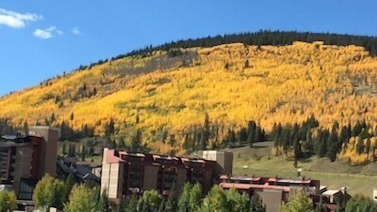 Photo of Others in Copper Mountain