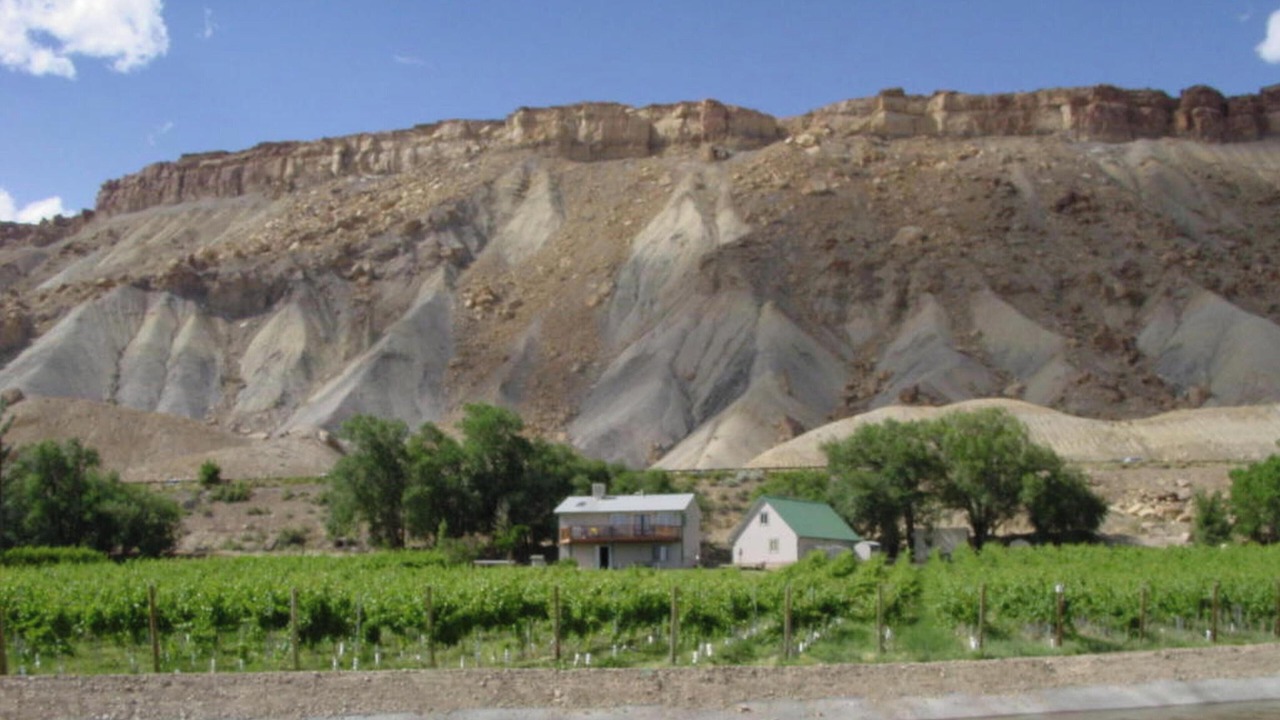 Photo of Outdoor in Palisade