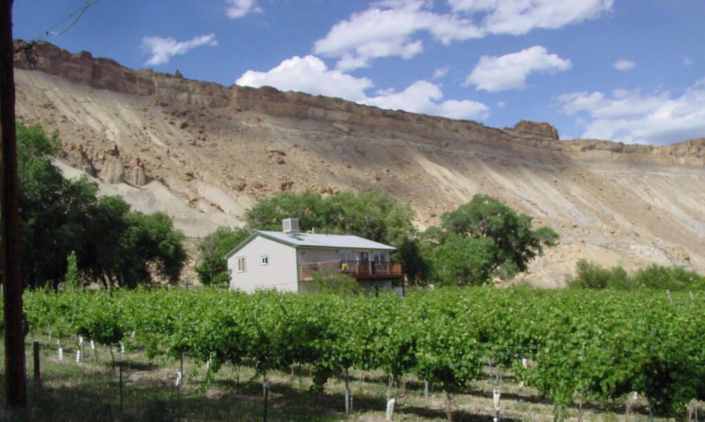 Photo of Outdoor in Palisade