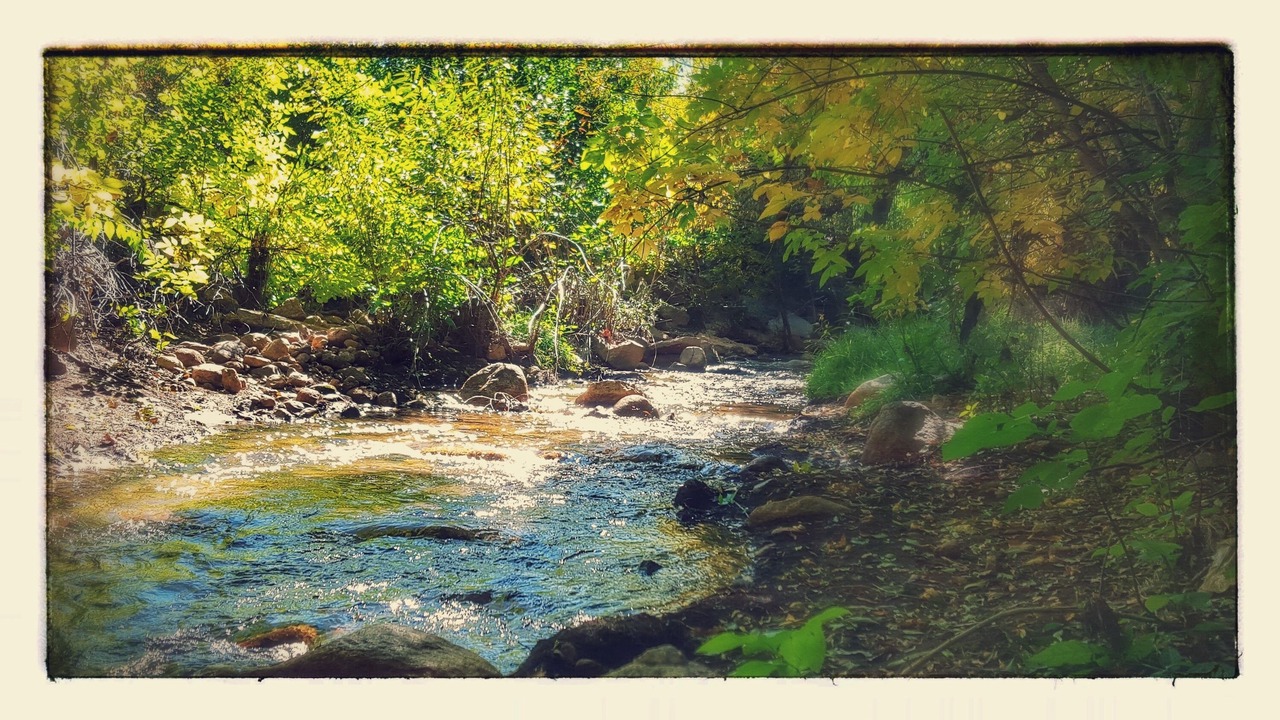 Photo of Others in Broadmoor