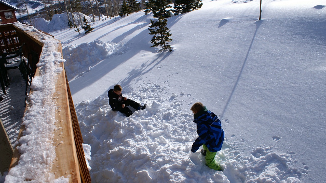 Photo of Others in Wildernest