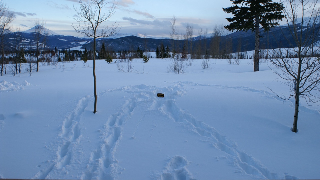 Photo of Others in Wildernest